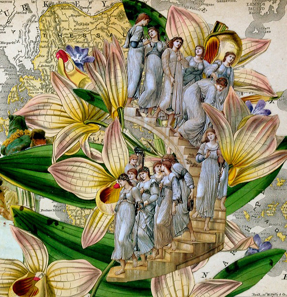 flowers of eleusis