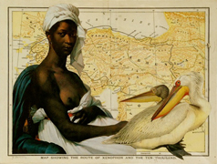 lady with birds thumbnail